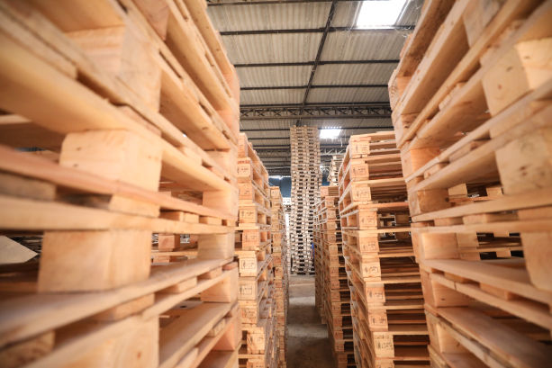Standard Wooden Pallet